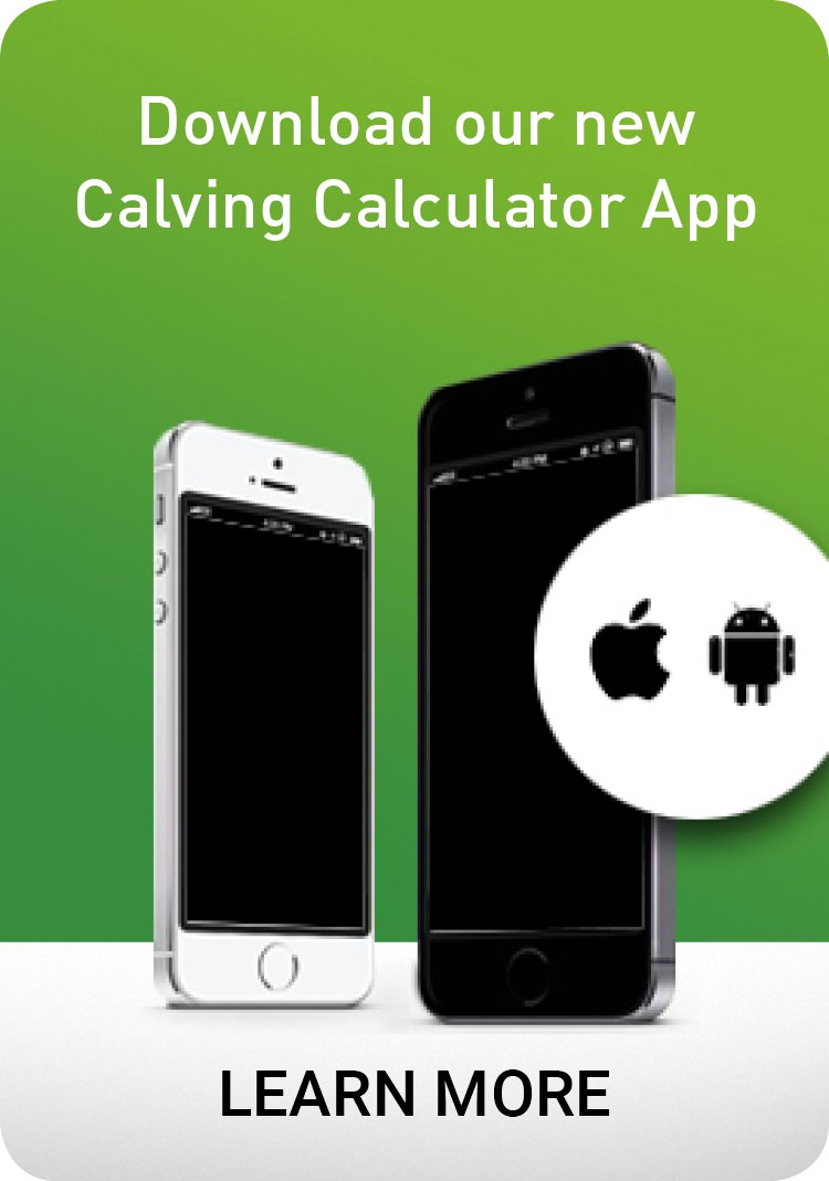 Calving Calculator